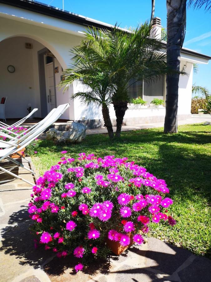 Villa Manzella Piscina Privata Cinisi Exterior foto